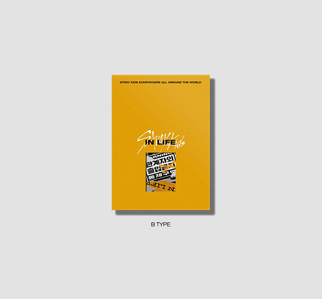 STRAY KIDS - IN生 IN LIFE 1ST REPACKAGED ALBUM – K Pop Pink Store STRAY KIDS - IN生 IN LIFE 1ST REPACKAGED ALBUM – K Pop Pink Store