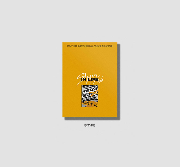 STRAY KIDS - IN生 IN LIFE 1ST REPACKAGED ALBUM – K Pop Pink Store STRAY KIDS - IN生 IN LIFE 1ST REPACKAGED ALBUM – K Pop Pink Store