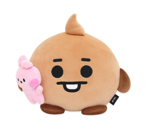 BT21 LITTLE BUDDY STANDING CUSHION