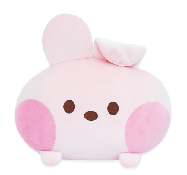 BT21 MININI ROUND OFFICIAL CUSHION